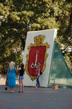 В День города Думскую площадь украсили 30 тысяч хризантем
