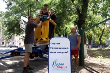Эх, выборы, или кто первый пометит территорию