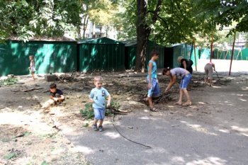 Эх, выборы, или кто первый пометит территорию
