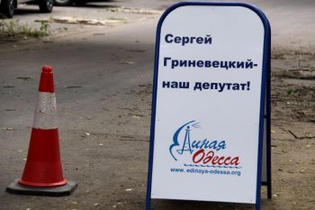 Эх, выборы, или кто первый пометит территорию