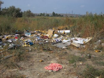 В октябре завершатся работы по рекультивации Лузановского озера – вонять больше не будет
