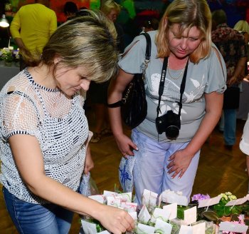 В Одессе проходит Межрегиональная  Выставка Фиалок