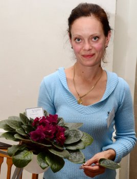 В Одессе проходит Межрегиональная  Выставка Фиалок