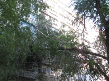 Оперативно ликвидирована аварийная ситуация на Маршала Жукова