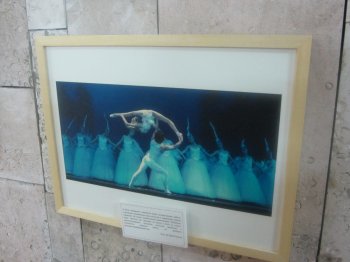 В ОНУ им. Мечникова открылась фотовыставка, посвященная 63-летию образования КНР