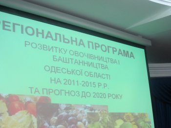 Деньги и вода - необходимые условия для развития овощеводства в Одесской области