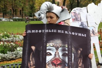 Завтра одесситы будут выступать за цирк без животных