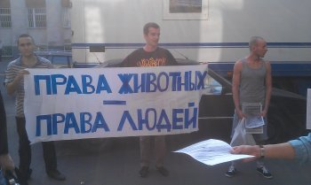 Защитники животных пикетируют Одесский цирк