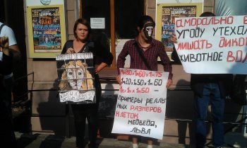 Защитники животных пикетируют Одесский цирк