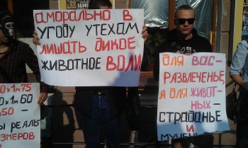 Защитники животных пикетируют Одесский цирк
