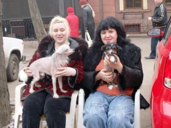 Костусев придумал очередную «горячую точку» в городе, или почему мэрия хочет заставить одесситов продавать кошек и собак в парке