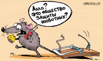 Милиция проверяют подоплеку возгорания авто одесского Дарта Вейдера