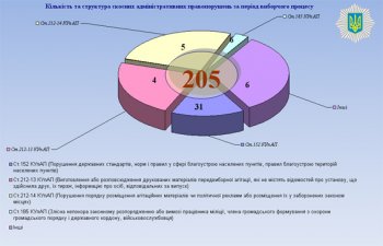 Статистика обращений относительно нарушений избирательного процесса от МВД
