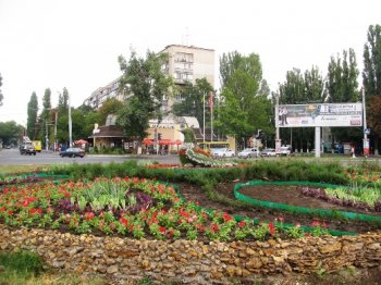 Александр Риффа не на шутку занялся озеленением Одессы