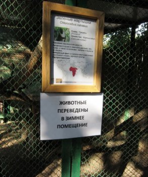 Одесский зоопарк постепенно впадает в спячку