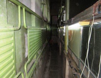 Одесский зоопарк постепенно впадает в спячку