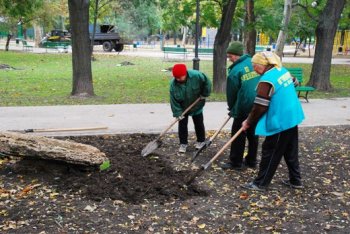 Одесский админресурс, наконец-то, нашел себе достойное применение