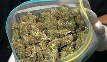 Задержан гражданин, который гулял со свертком марихуаны