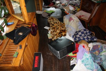 В Раздельной милиционеры, занимаясь генофондом, попали в подозрительный дом