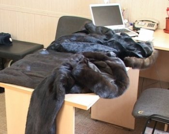 Одессит украл курток на 63 тыс. гривен