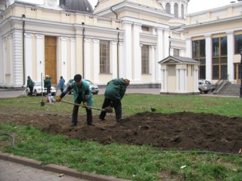 Этой осенью в зеленых зонах Одессы высадят 10 тысяч кустов новых роз