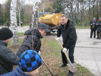 В парке Победы появилась березовая аллея