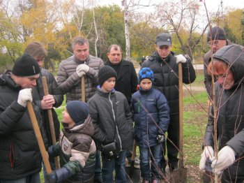 В парке Победы появилась березовая аллея
