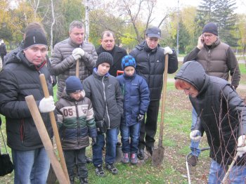 В парке Победы появилась березовая аллея