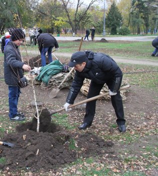 Субботник в парке Победы