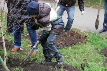 Субботник в парке Победы