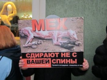 В Одессе снова митинговали в защиту животных