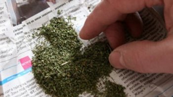 Житель Виноградовки нарвался на милицию за то, что играл в колумбийскую мафию