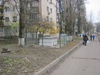 Накануне «конца света» в Одессе построили убежище для котов