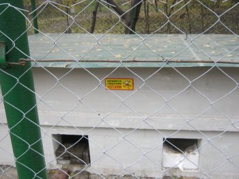 Накануне «конца света» в Одессе построили убежище для котов