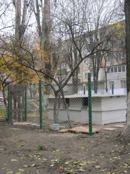 Накануне «конца света» в Одессе построили убежище для котов