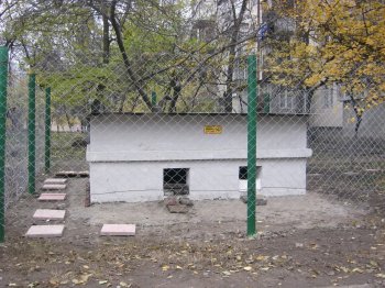 Накануне «конца света» в Одессе построили убежище для котов