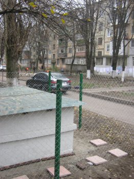 Накануне «конца света» в Одессе построили убежище для котов