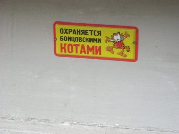 Накануне «конца света» в Одессе построили убежище для котов