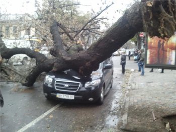 Непогода в Одессе