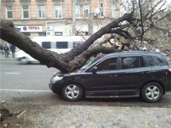 Непогода в Одессе
