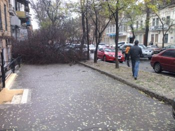 Непогода в Одессе