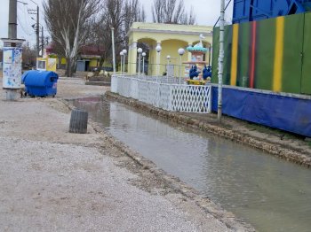 Лузановка завалена "дармовой наживкой" (фото)