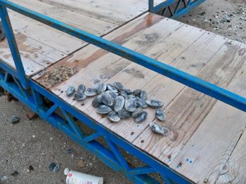 Адрес бедствия: Лузановка