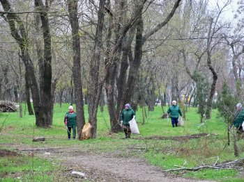 Адрес бедствия: Лузановка
