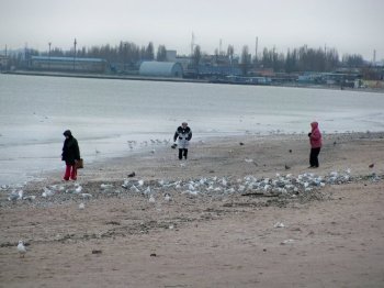 Адрес бедствия: Лузановка