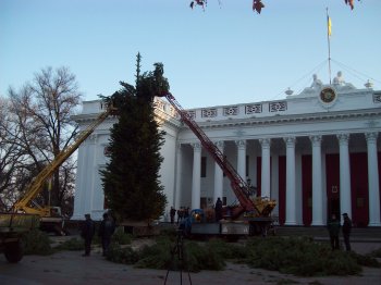 Главная елка города уже сооружается
