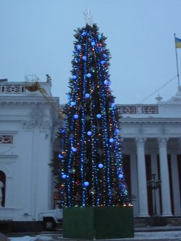 Главная елка города уже украшена