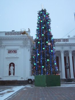 Главная елка города уже украшена