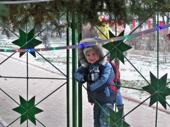 Главная елка Суворовского района из местных