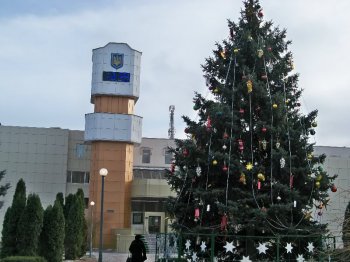 Главная елка Суворовского района из местных